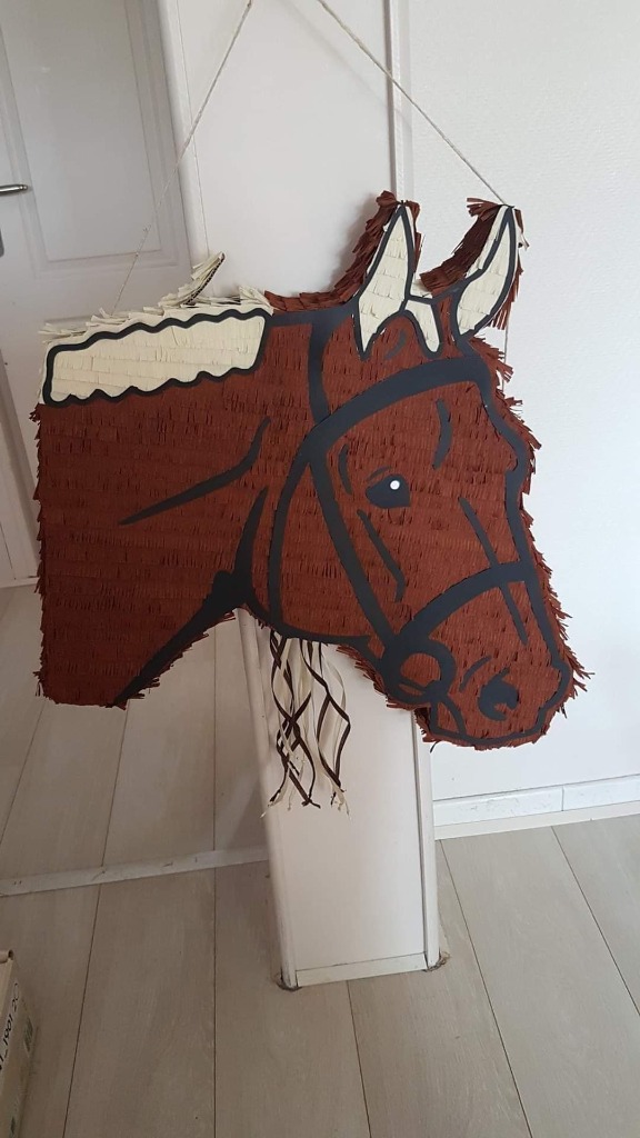 Pinata cheval anniversaire Eva 10ans